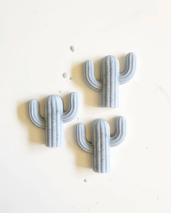 Mini Cactus Soap Set
